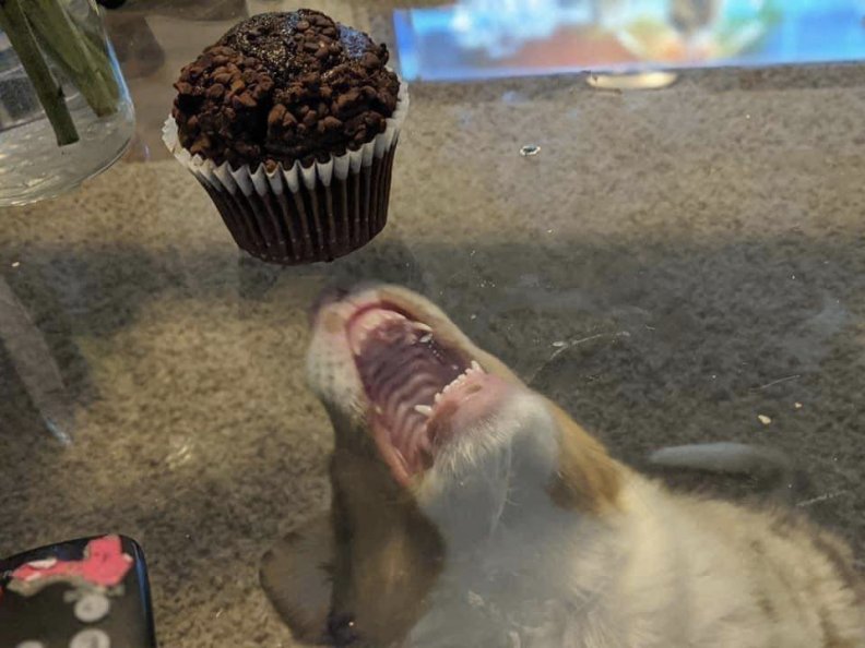 The myth of Tantalus has evolved