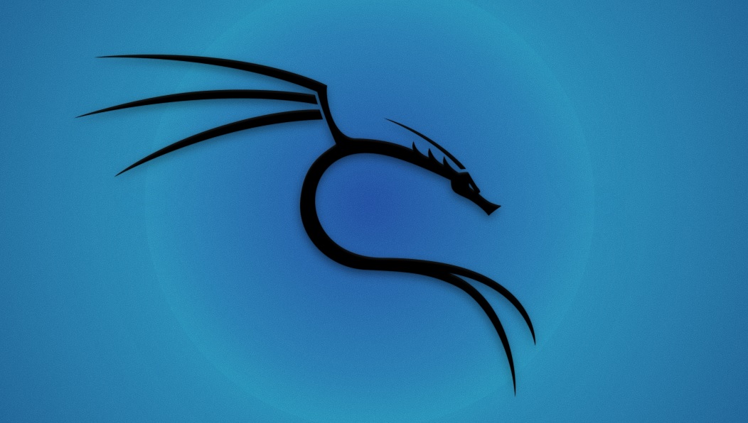 Кали гном. Кали линукс скриншоты. Линукс 2020. Cтандартная плазма кали линукс. 1.