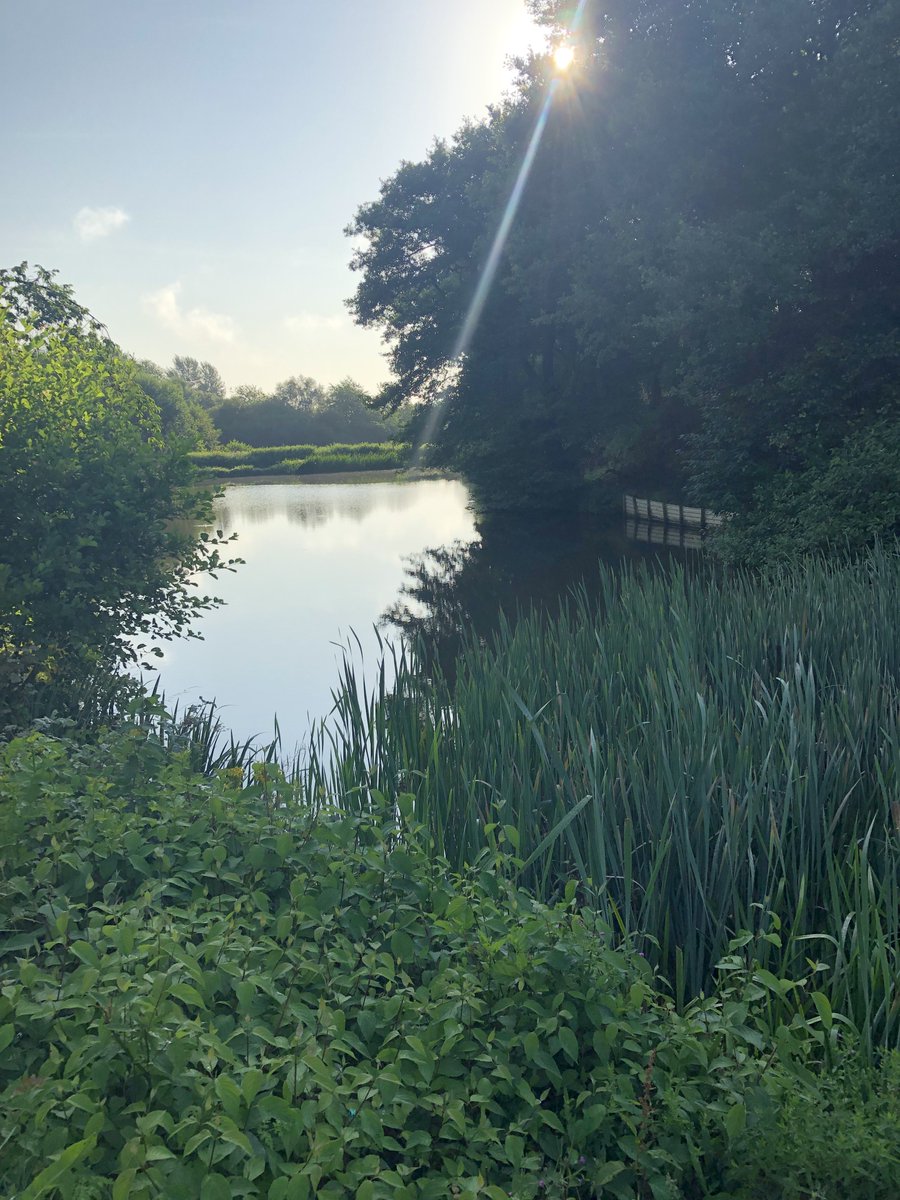 What a great view to start a day by the water