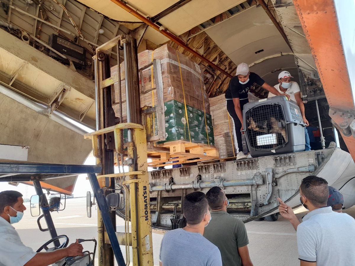 flyskykg's tweet photo. #FlySkyKGZ #EX-76003 #FSQ1120 #GeneralCargo #FoodStuff #UAE Abu Dhabi - El Alamein Intl, #EGYPT. https://t.co/8zzKa9Y5PY
