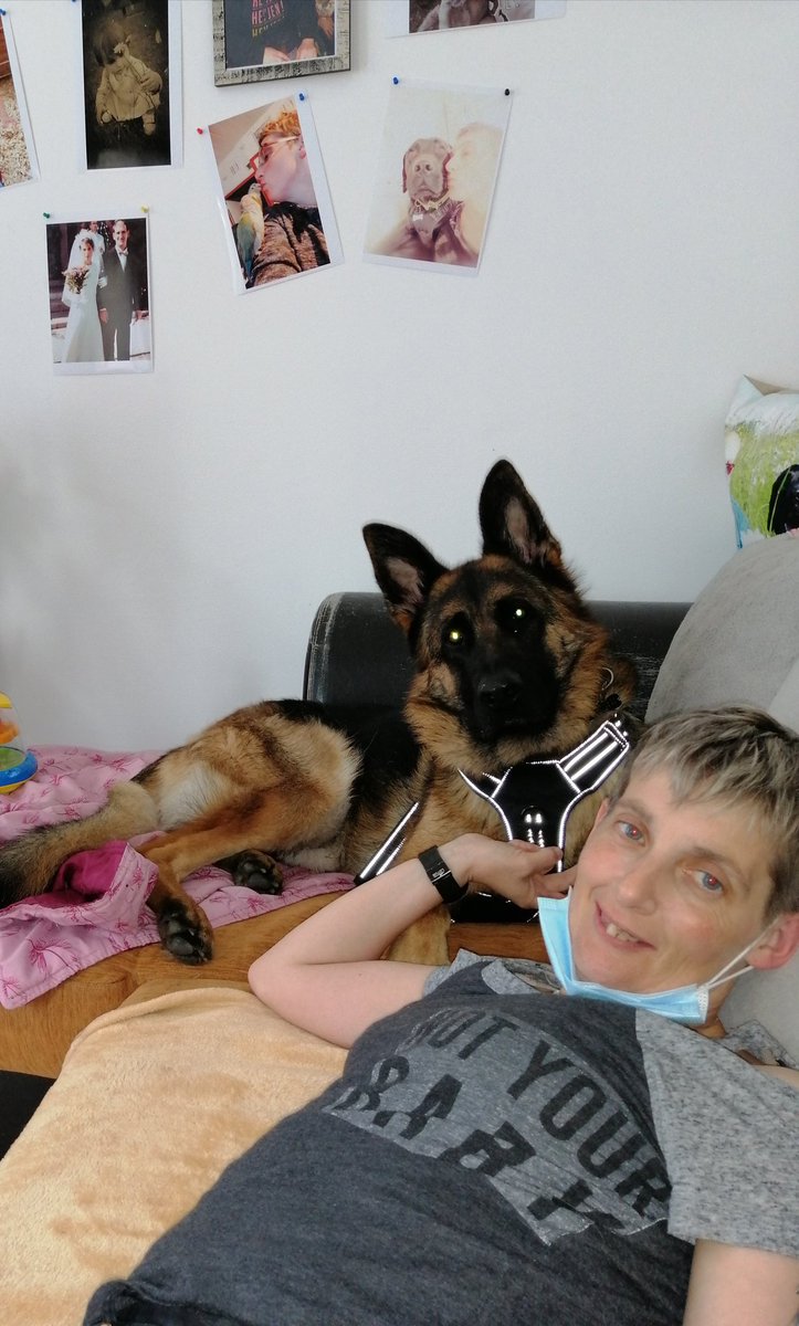 Je demande le plus de <a href="/tweet/">Tweet</a> pour #monchien #aider nous 🤞 #tweter.
<a href="/sos/">SOS</a> <a href="/solidarite/">LUX OA SOPHIA</a> #BrigitteBardot #stephanelamart #aspacliron #lalisa08 <a href="/30millionsdamis/">Fondation 30 Millions d'Amis</a> <a href="/StephaneLAMART/">Association Stéphane Lamart</a>