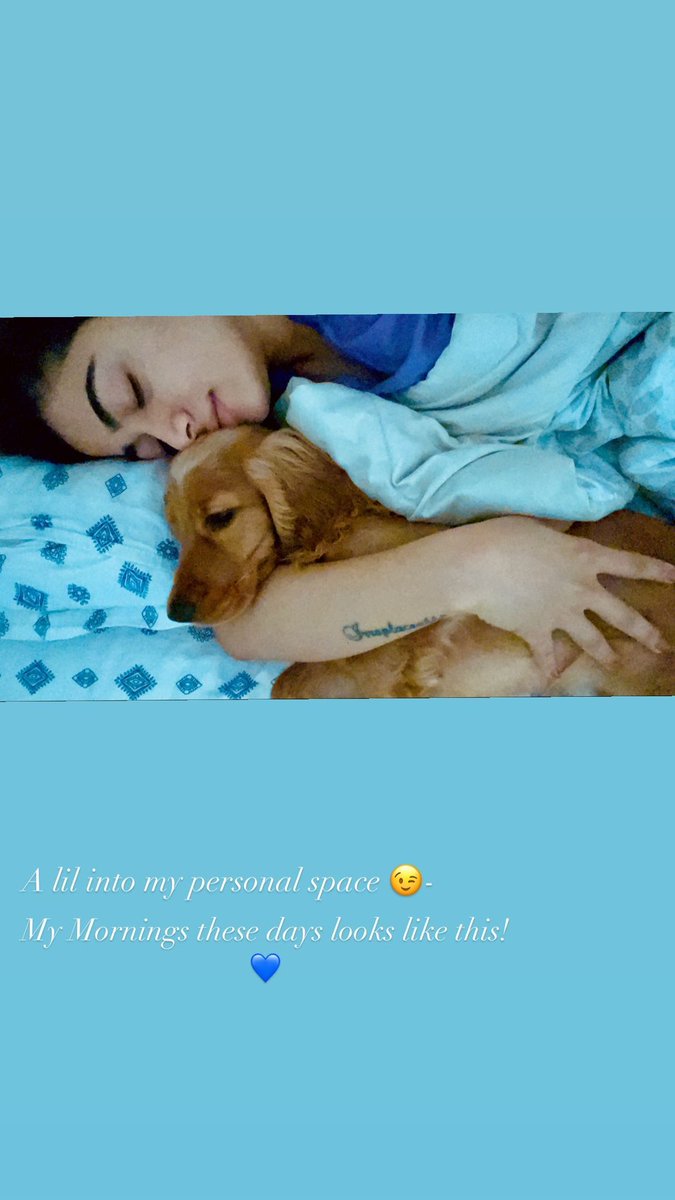 VROP_offcl's tweet photo. Aww😻 Cuteness spotted 😚🧚 @iamRashmika 

Rosh new story 🤍

#RashmikaMandanna #Beast https://t.co/Uahj9ZtR7h