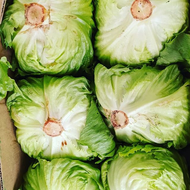 We've had some lovely summer salad items recently #wonky #ClimateReport #foodwaste #leicester #Birmingham #Summer