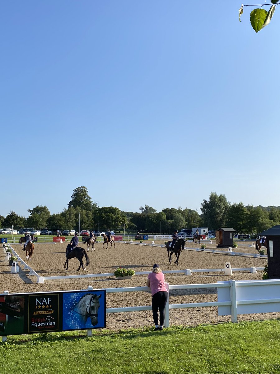 Red_regina's tweet photo. @HartpuryEvents 
#dressagefamiliarisation https://t.co/opadKOkTgJ