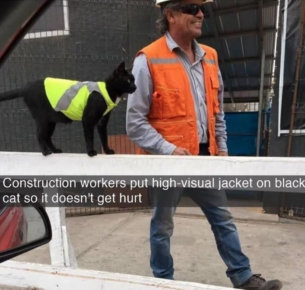 WholesomeMemes (@wholesomememe) on Twitter photo 