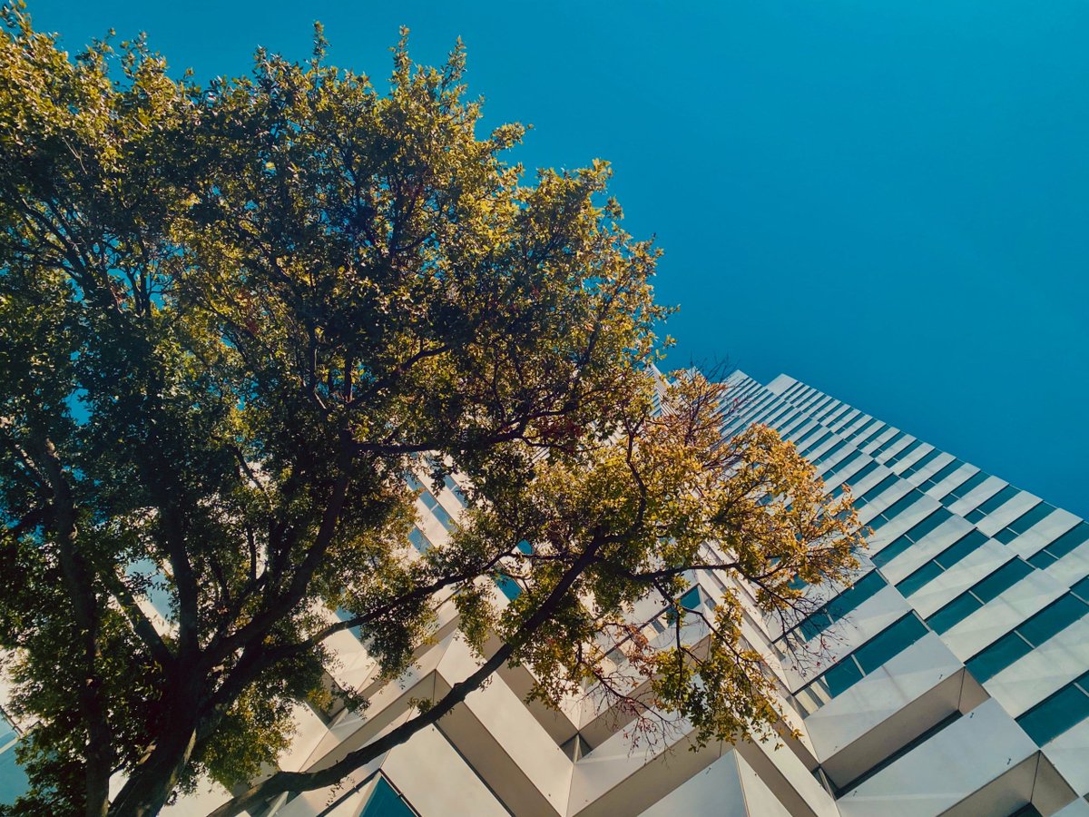 talentedno's tweet photo. Qispace is a new state of the art technology for #3Dvisualization of apartment projects, probably the first in its field. Are you their new #Fullstack developer?

#remotework #TalentedGigs #Qispace

https://t.co/saqejnesVt https://t.co/lH0mqlGNp0