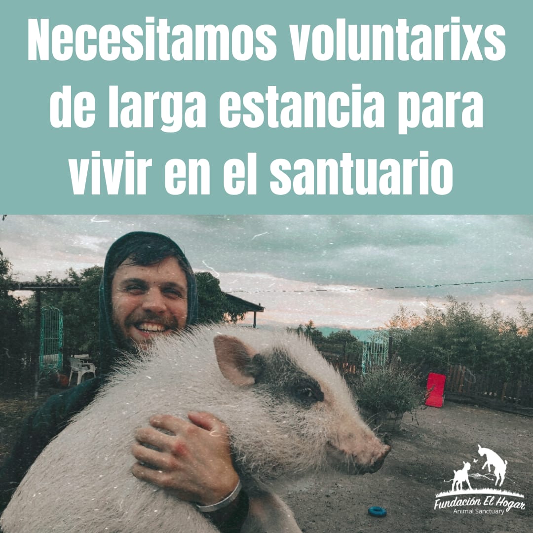 Fundación El Hogar Animal Sanctuary tweet media