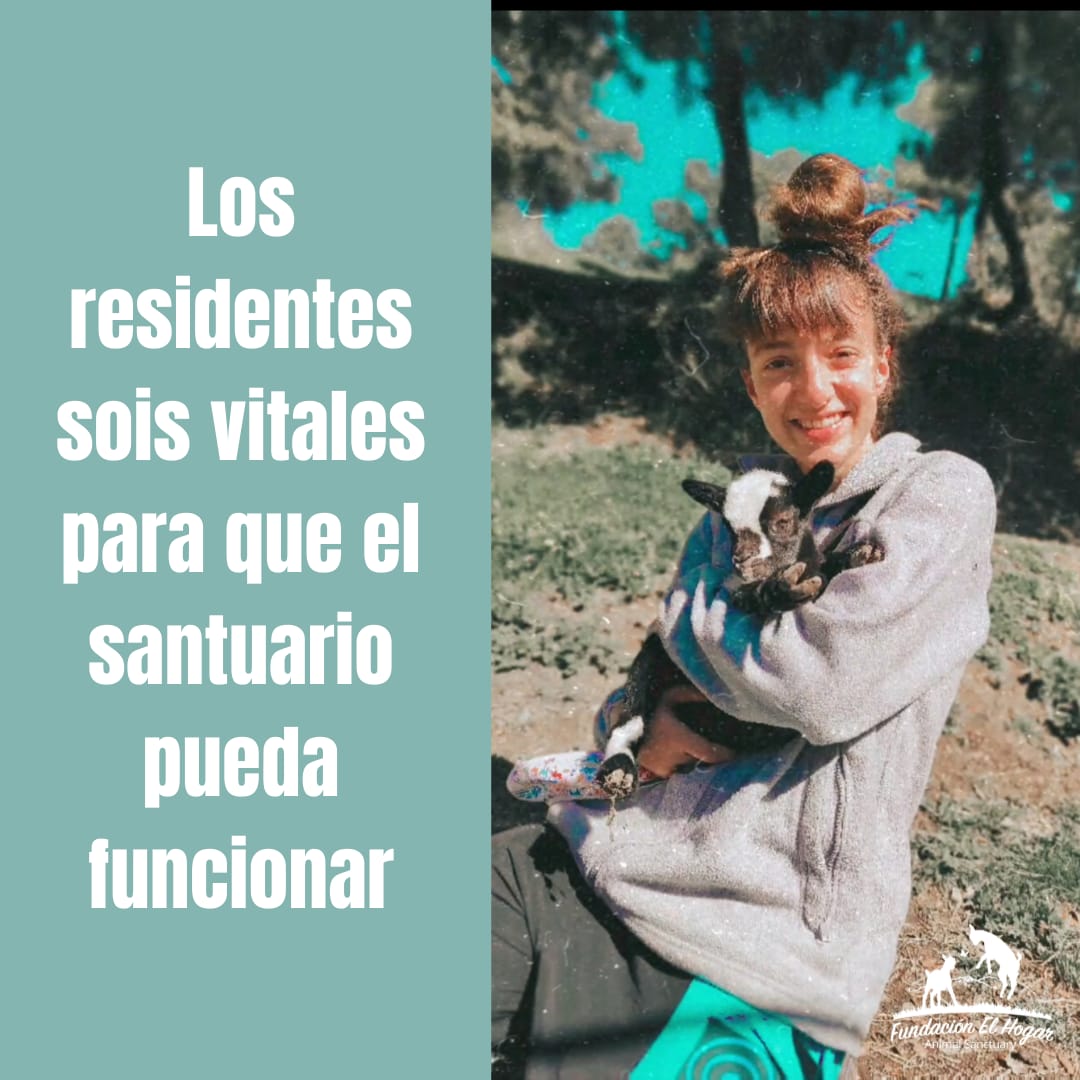 Fundación El Hogar Animal Sanctuary tweet media