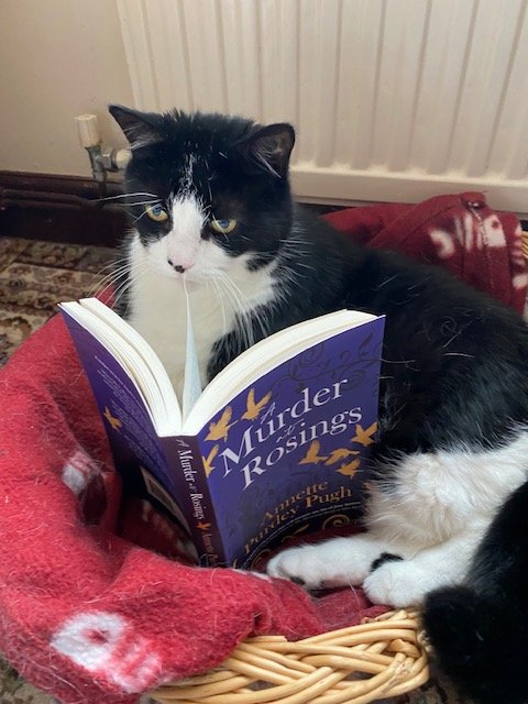 APurdeyPugh's tweet photo. Georgie is absorbed by the mystery, but suddenly realises what the solution is.
@honno  #Jane Austen #writing #MysteryFiction https://t.co/bCW53L6EAf