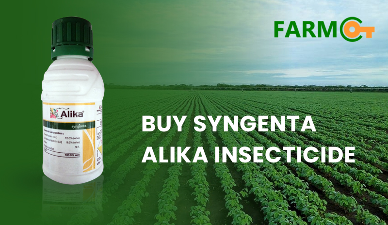 farmkeyIndia's tweet photo. Get #SyngentaAlikaInsecticide at a very low price and protect your crop from the most harmful insects. At #Farmkey, you get all the high-quality #farming product at a cheaper cost.  

👉https://t.co/mk1VtsAVUV

#syngentaalika #alikainsecticide #vegetables #farmer #insecticide https://t.co/FNo59ftnL7