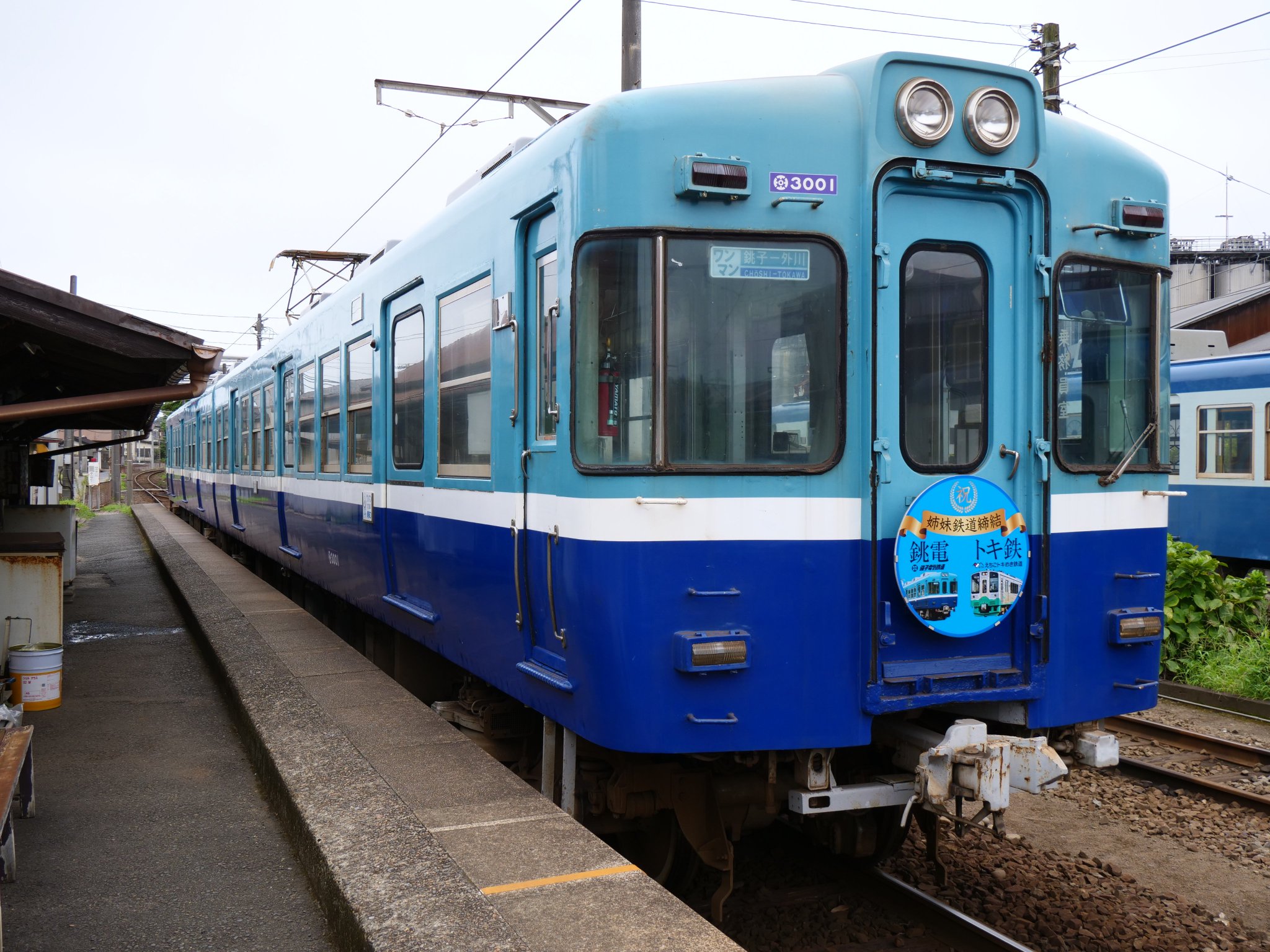 1083 本錫　銚子　1対　未使用 CENTURION GORYO - 長鋪汽船株式会社