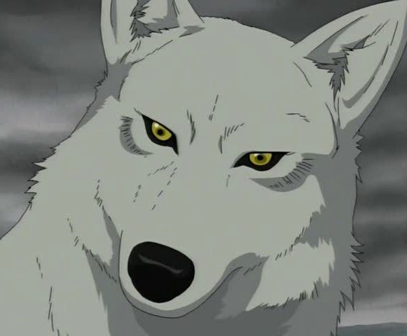 furryvalley's tweet photo. Which #furry #anime character do you feel best represents you? :3

I think for me, it would be Kiba from Wolf's Rain. We have the same resilience and drive to reach our goals no matter what. And we're both extremely protective and caring of our friends. ❤️ https://t.co/RVlFrjb9l2