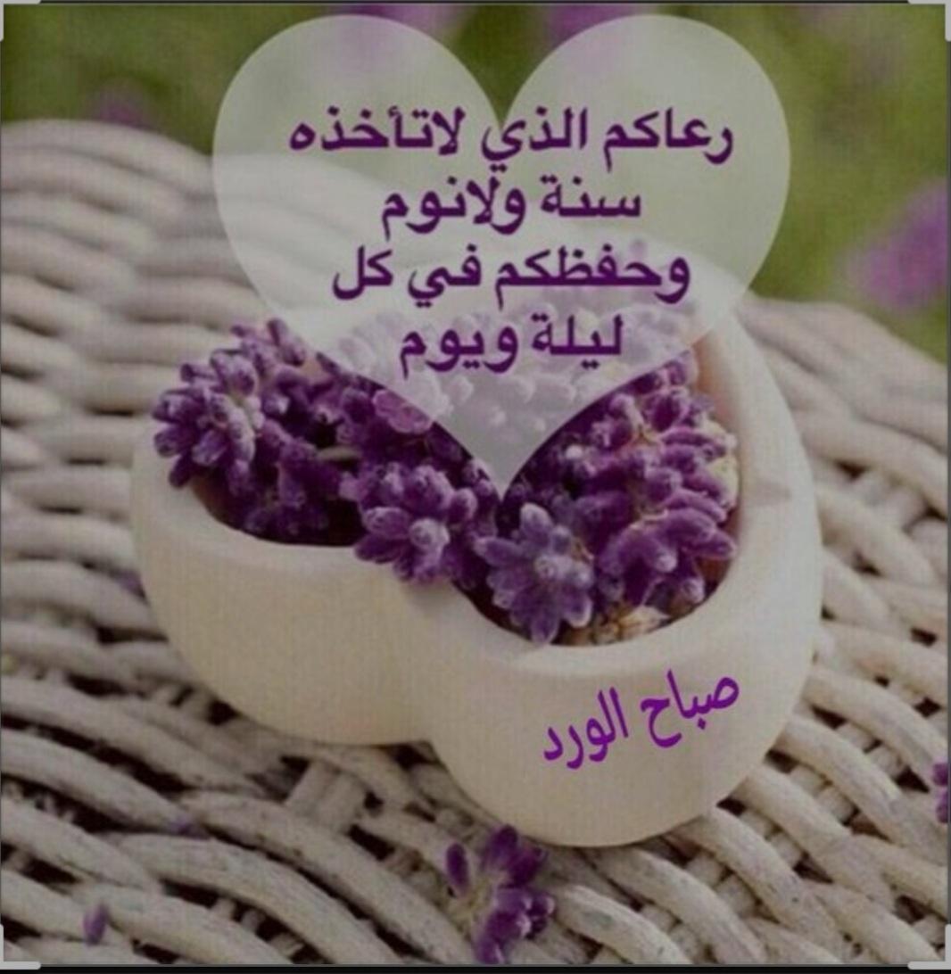 Bafaqir2's tweet photo. https://t.co/uGUeTE9AzK