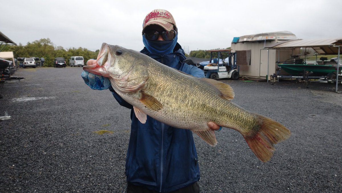 からパー على تويتر 野村様 56cm ピエリ前 トップ ナイスフィッシュ からすまトップバリューウェイン ٩ W و いい魚で2800gありましたよ レンタルハンドル スイッチ類除菌済 バスボート バス釣り レンタルボート からすまフィッシャーマンズパーク 滋賀