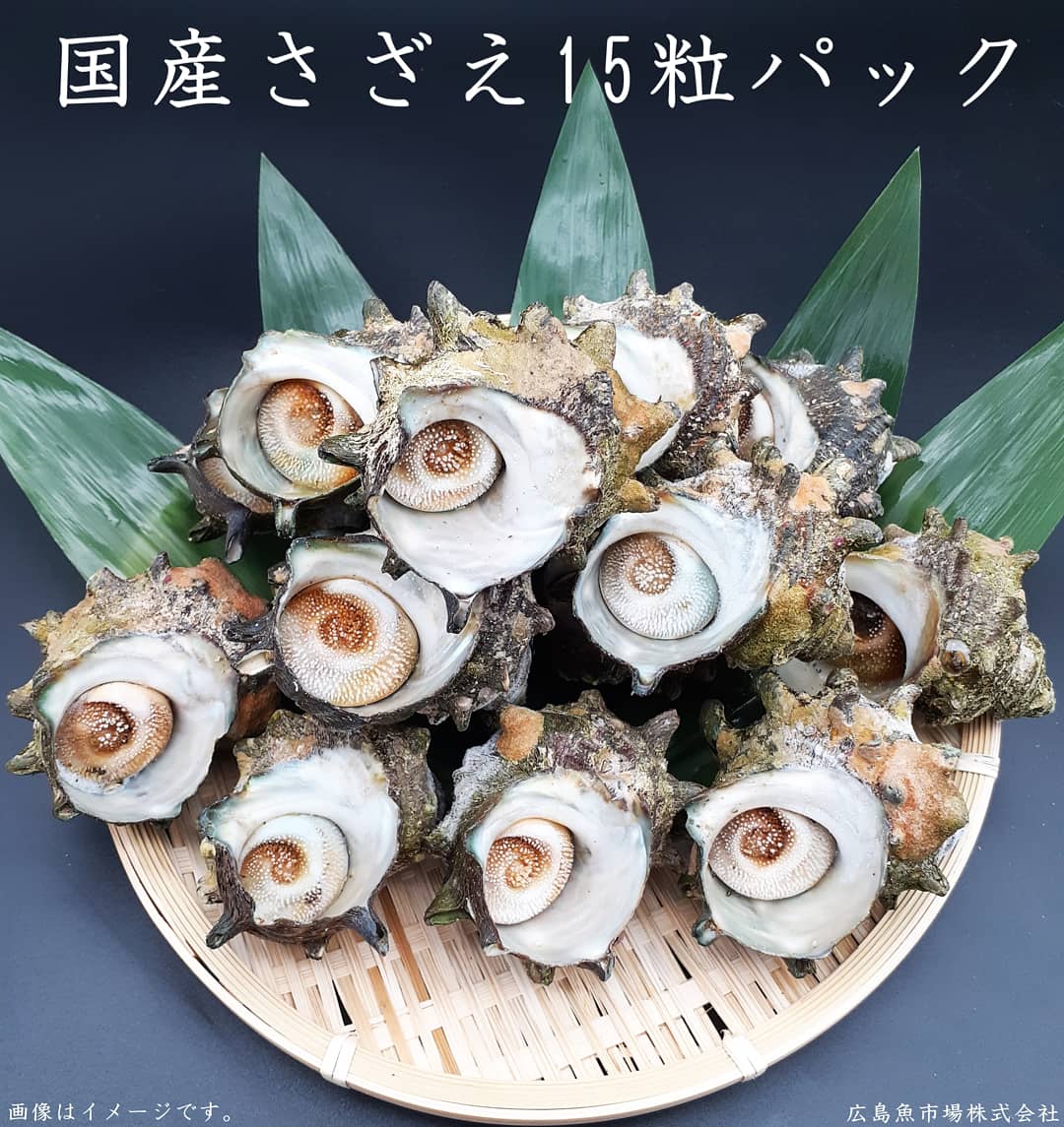 広島魚市場オンラインショップ Zdzujijiiqpy1ty Twitter