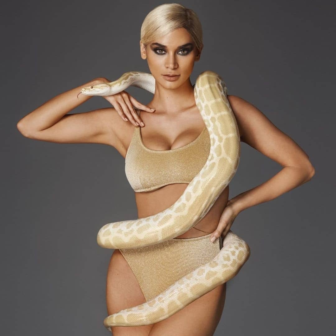 reptilabexotics's tweet photo. The Queen, Ms. @PiaWurtzbach with one of our pythons. https://t.co/MmiEUgio9D