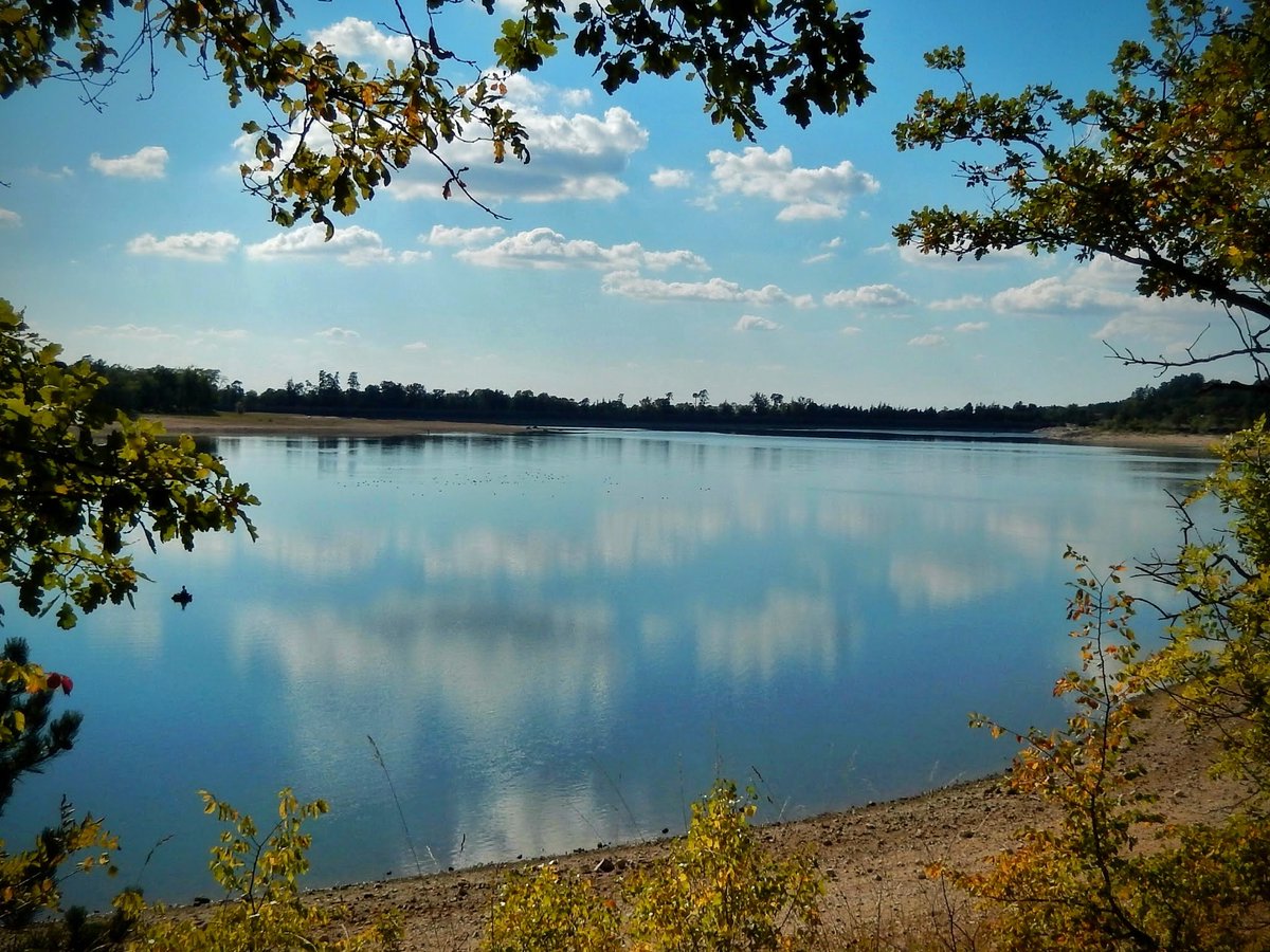 Balade_Sympa's tweet photo. Le lac de St-ferreol qui alimente le canal du Midi🏃‍♂️👍#BaladeSympa #occitanie #MagnifiqueFrance #BeautifulFrance #patrimoine #nature #balade #photographie #paysage #lac https://t.co/VripAQ7ik6