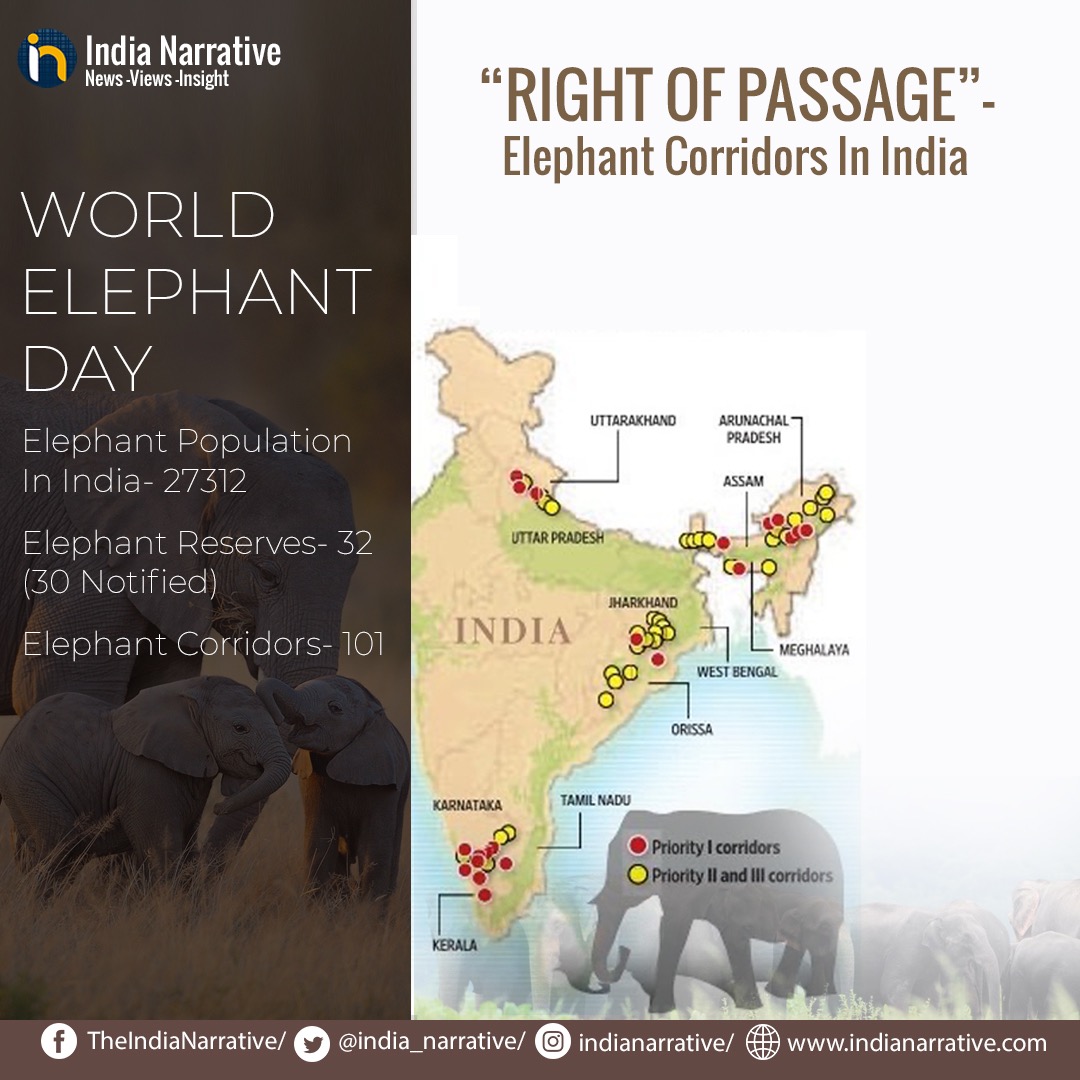 #WorldElephantDay |

Did you know? 
India is home to 55% of Asian elephant 🐘 population.

#ProtectElephants
