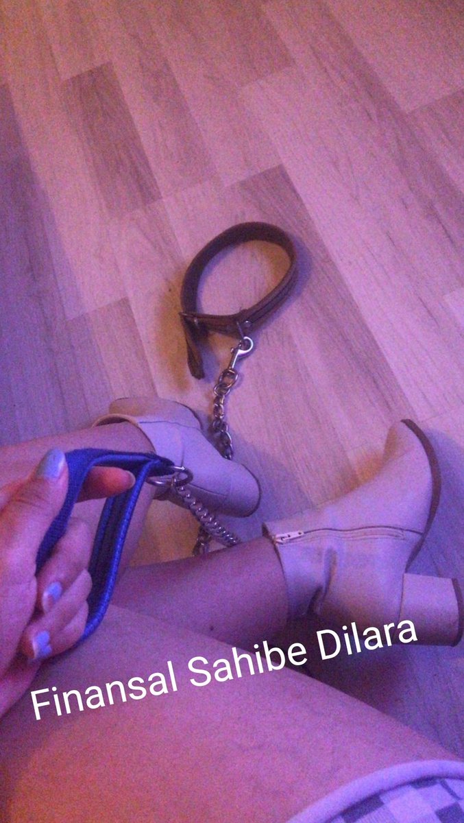 finansal sahibe dilara finansal1sahibe twitter