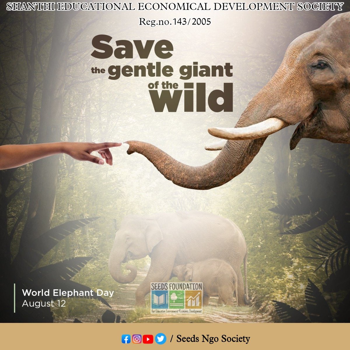 1940: 🐘🐘🐘🐘🐘🐘🐘🐘 3M
1980: 🐘🐘🐘🐘 1.5M
2021: 🐘 444K

This #WorldElephantDay, let us all reflect on the importance of protecting &amp; preserving #biodiversity. We must act #ForNature now.