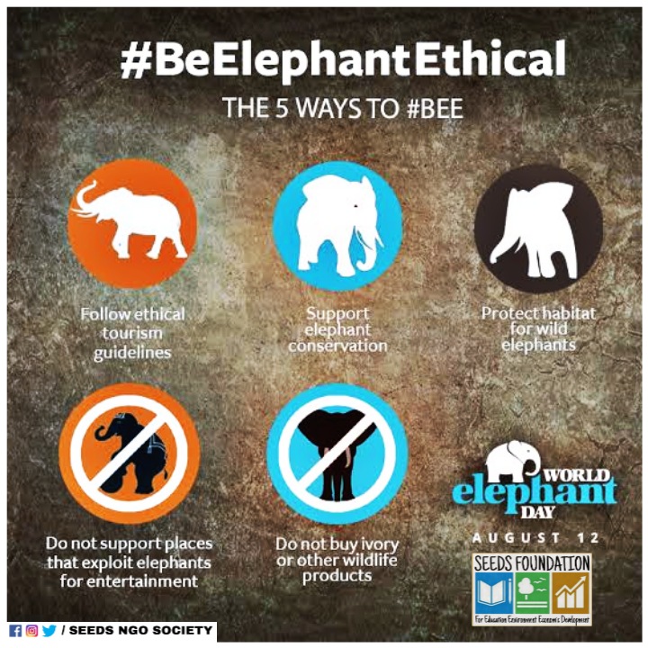 1940: 🐘🐘🐘🐘🐘🐘🐘🐘 3M
1980: 🐘🐘🐘🐘 1.5M
2021: 🐘 444K

This #WorldElephantDay, let us all reflect on the importance of protecting &amp; preserving #biodiversity. We must act #ForNature now.