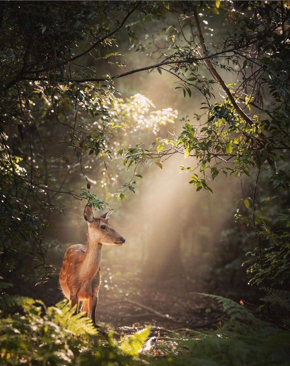 Empieza a apreciar lo que tienes, antes que el tiempo te enseñe a apreciar lo que tuviste. Detrás quedan los recuerdos. Por delante, la vida!! #FelizJueves #BuenosDías #BuenJueves #12agosto #12Ago