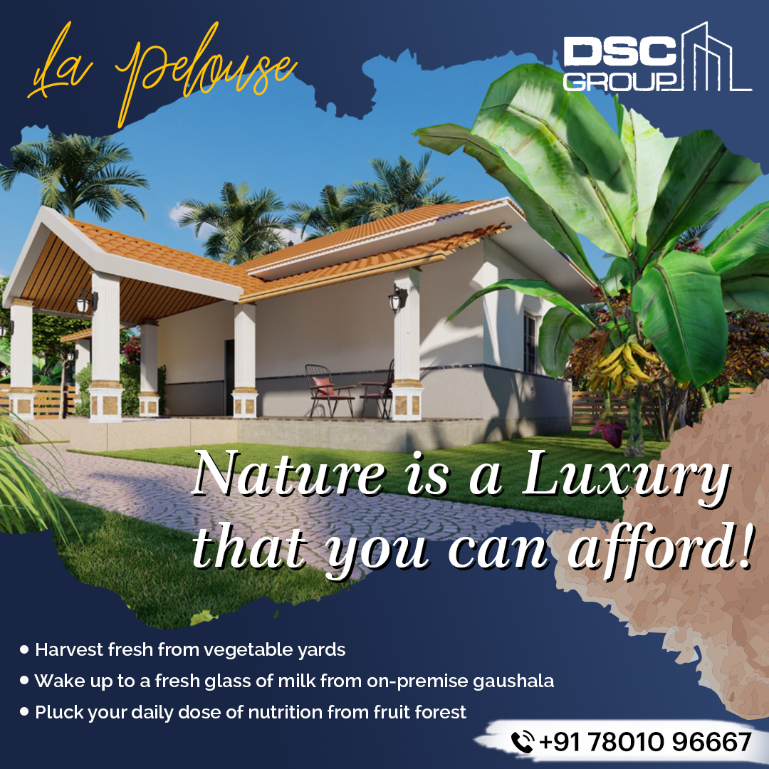 DSCGroup1's tweet photo. 𝗟𝗶𝘃𝗲, 𝗯𝗿𝗲𝗮𝘁𝗵𝗲 𝗮𝗻𝗱 𝗲𝗮𝘁 𝗻𝗮𝘁𝘂𝗿𝗮𝗹𝗹𝘆. Invest in La Pelouse and own sustainable living.

Ring us 📱 7801096667 for more details.

#DSCGroup #LivingInNature #RealEstate #LaPelouse #PropertyInvestment #HealthyLifeStyle #BestInvestment #GreenVillage #EcoLife https://t.co/Gk1f6oGZsg
