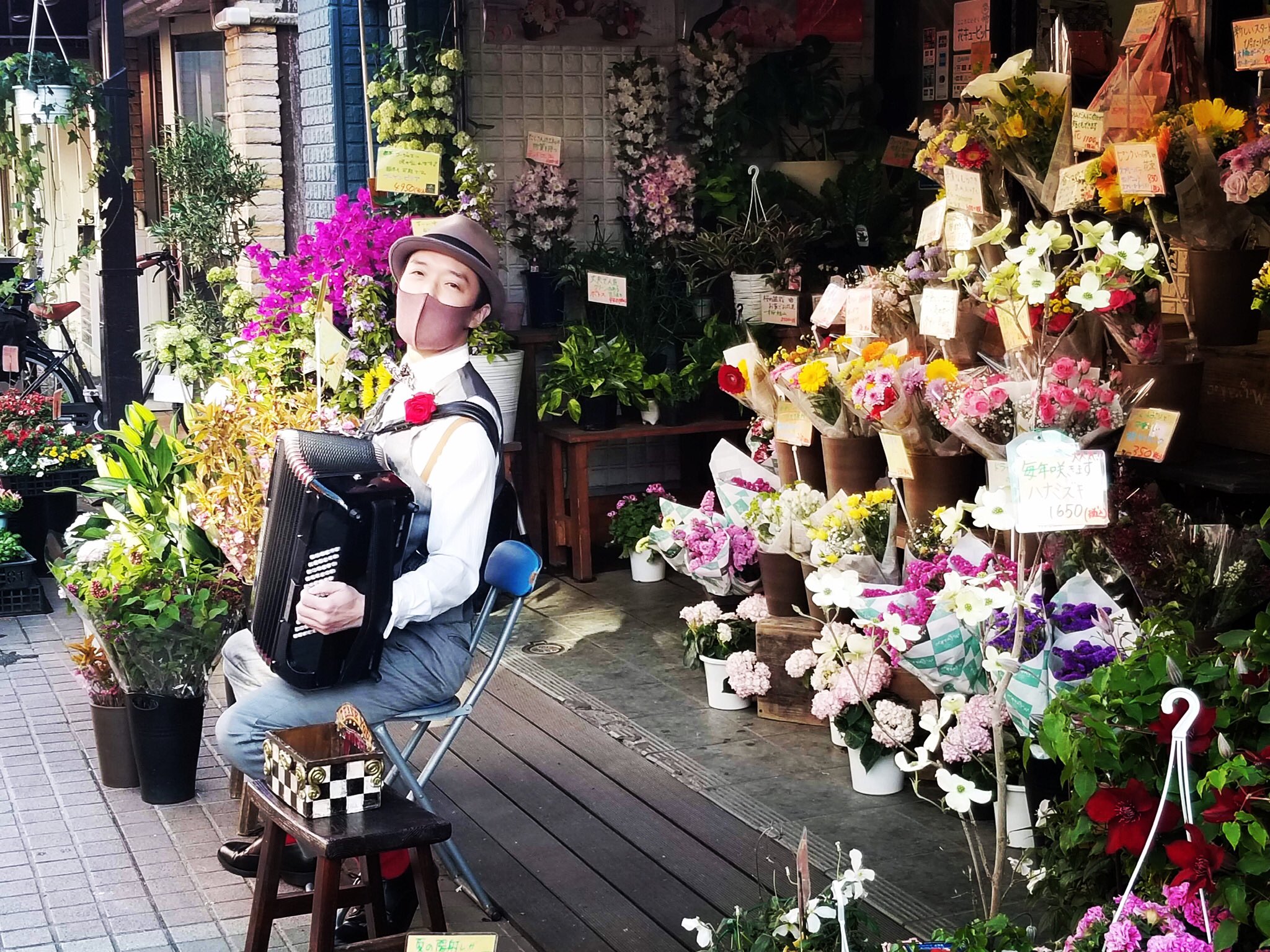 Dan コロナ禍で無くなったレストランの演奏仕事が戻ってくる見込みが無く お店先でアコーディオンの演奏をさせていただけるお花屋さんをいつも探しています こちらで投げ銭箱は用意致しますので お店には何も負担がかからないよう最善を尽くし 音量も時間