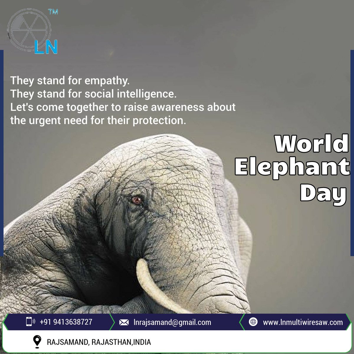 rmahendra's tweet image. We need to protect this species.

#lnengineering #lnmultiwiresaw
#lnrajsamand #granite #marble #cutter #mermer #sandstone #stonecuttingmachine #slabs #tiles #monuments #dressungmachine #southindiangranite #indiangranites #multiwire #multiwiresaw #italianmachines