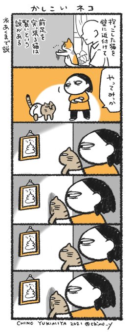 うちの猫は世界一 
