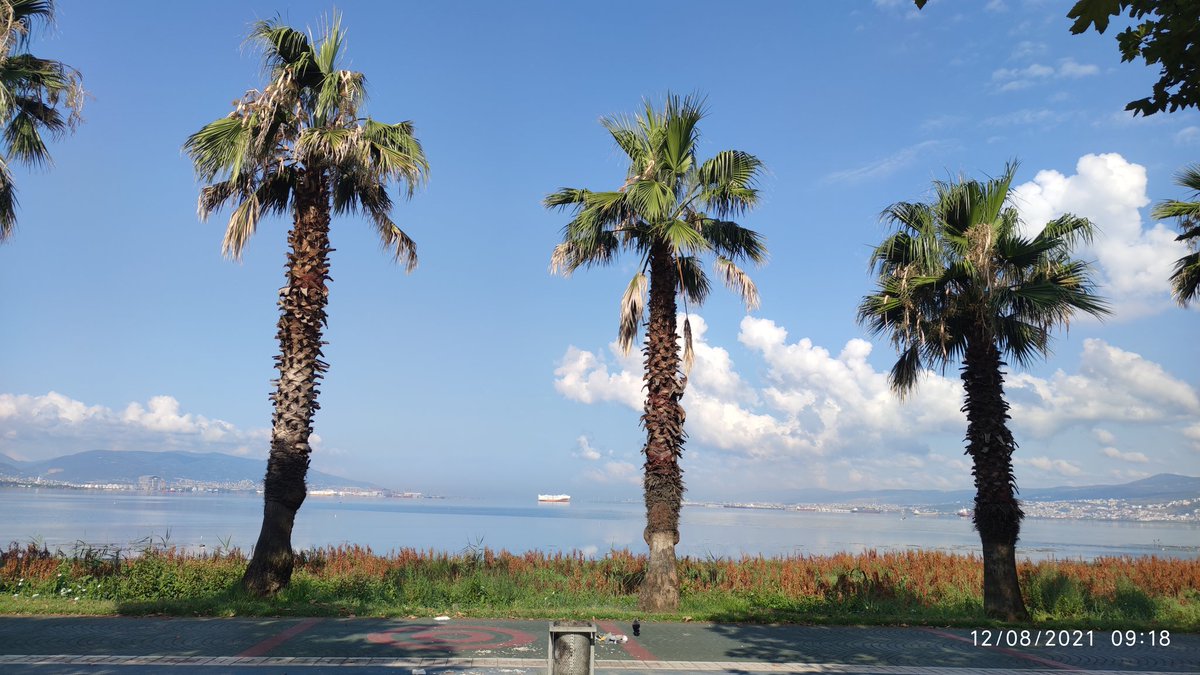 Hava mis. Birde sevişsek bu saatte ne kadar güzel olur #izmit