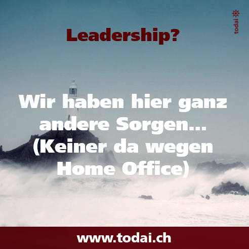 Wie führen in Zeiten des Wandels? Mehr lesen Sie hier: futureleadership.ch 

#leadership #fuehrung #führung #futureleadership #wandel #homeoffice #kmu #wirtschaft #wiederaufkurs #mittodaiaufkurs #businesslotsen