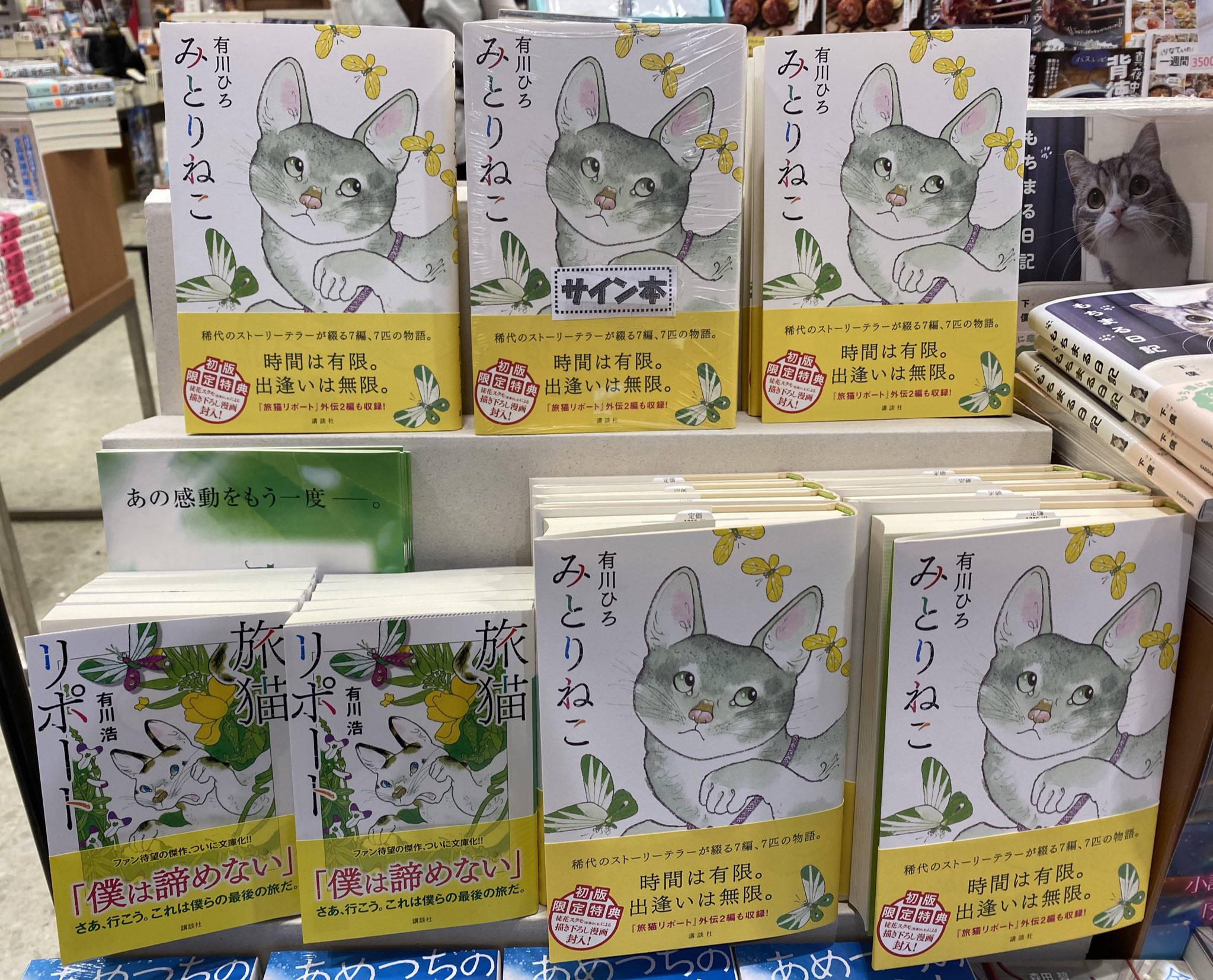 未来屋書店 大日店 文芸書新刊 有川ひろ さん みとりねこ 講談社 猫とあなたの 7編 7匹の物語 初版限定特典で 徒花スクモ 宮澤ひしを さんによる書き下ろし漫画が封入されています また当店にはサイン本も入荷しております