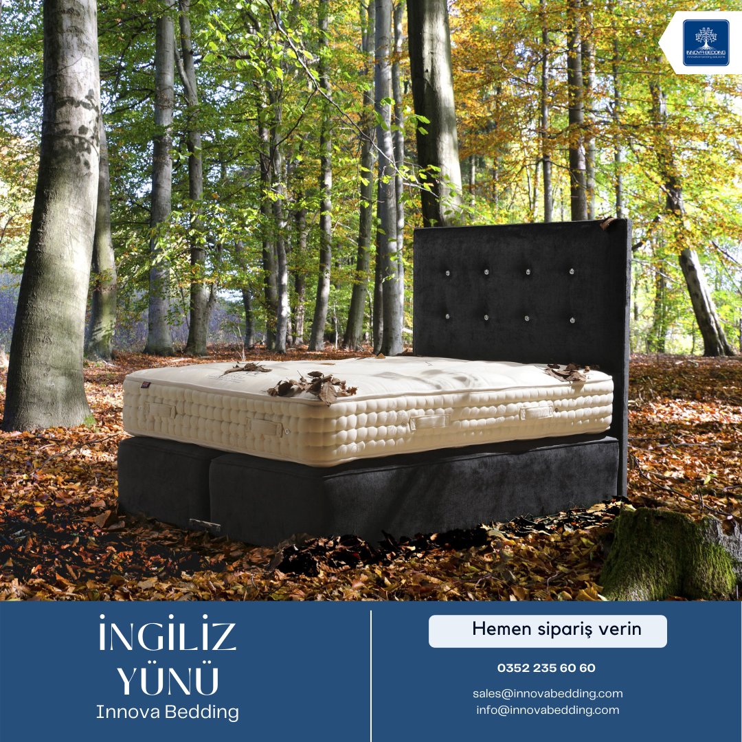 innovabedding's tweet image. 👀 Doğal Yataklarınız için YÜN mü Arıyorsunuz?

🤩İngiliz Yünü Rulo Stoklarımız Yenilendi!

#AlpacaWool #CamelWool #OrganicWool #DutchWool #SpanishWool #MerinoWool #Turkishwool #cashmereWool

𝐬𝐚𝐥𝐞𝐬@𝐢𝐧𝐧𝐨𝐯𝐚𝐛𝐞𝐝𝐝𝐢𝐧𝐠.𝐜𝐨𝐦
+𝟗𝟎𝟑𝟓𝟐𝟐𝟑𝟓𝟔𝟎𝟔𝟎