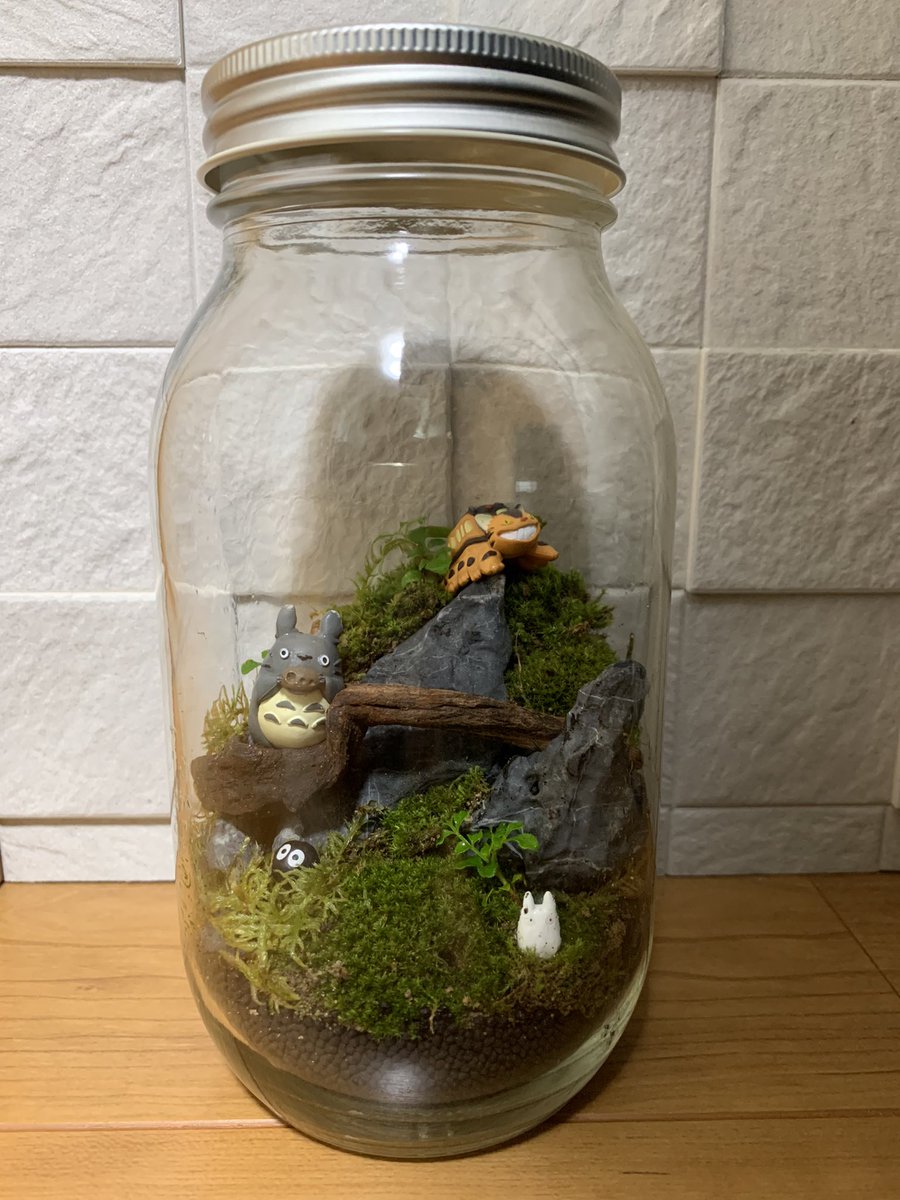 ゼル Zell Aqua Twitter