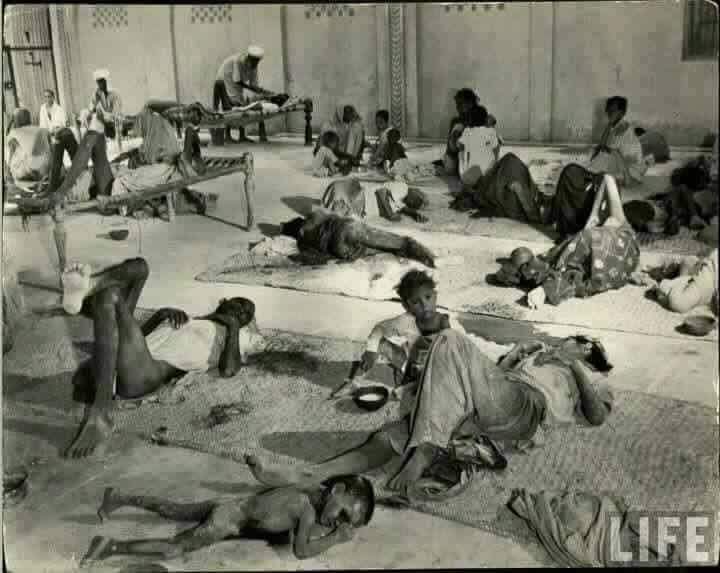 ZahidMansori's tweet photo. 1947: A great migration, a great pain and suffering. Creation of Pakistan by Mohajirs، Who sacrificed two million lives
#جشن_آزادی https://t.co/SEhxzxw29i
