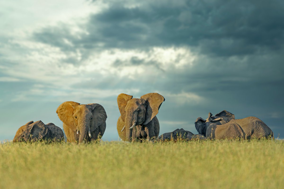 NANDAKUMAR tweet media