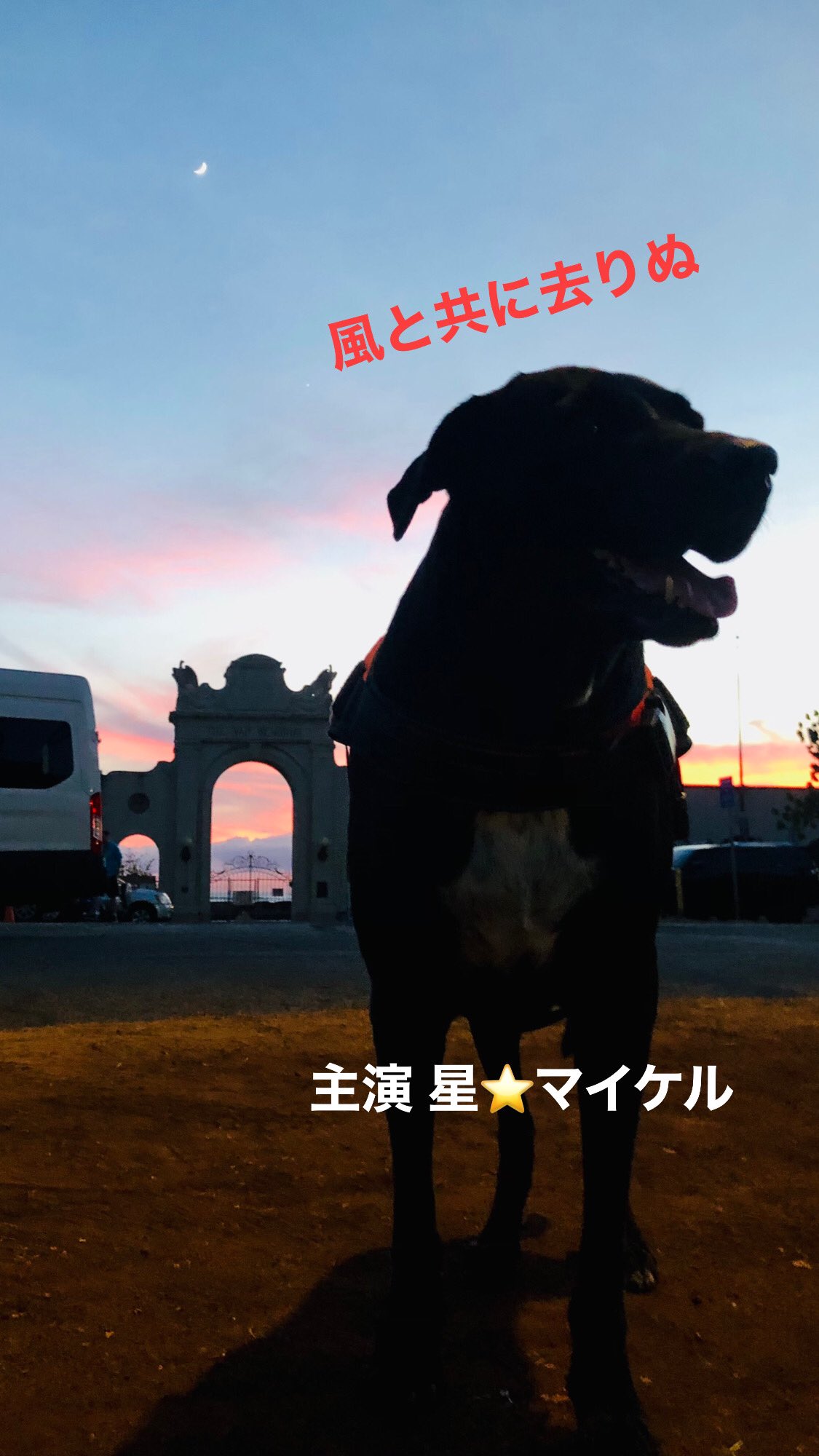 風と共に去りぬ Twitter Search Twitter