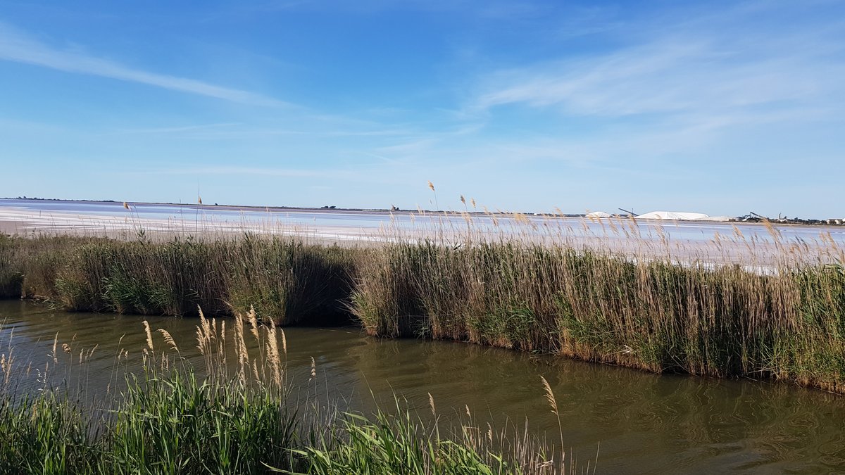 LundigoOfficiel's tweet photo. Le #jeudiphoto on en fait pas une   montagne, fut elle de sel et à @aigues_mortes.

Bonne journée à tous et restez au frais
#NaturePhotography #nature @SalinsAGM #fautunegrossesaliérepourtoutça https://t.co/qKQFvV2W7o