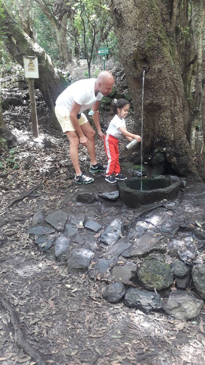 Monte del Cedro #mydiamondbottle    #theglobertrotterbottle #diamondgogreen #diamondresort #sunsetbayclub #LaGomera #vivalagomera #naturalmentemagica #Garajonay