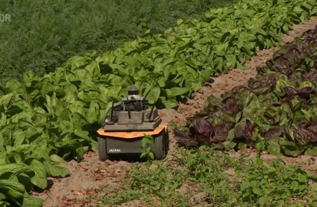 The Institute for Robotics and Cognitive Systems is looking for an enthusiastic and motivated researcher for their agriculture project KRIBL: rob.uni-luebeck.de/fileadmin/user… #ai #luebeck #zkil #schleswigholstein #ki #Robotic
