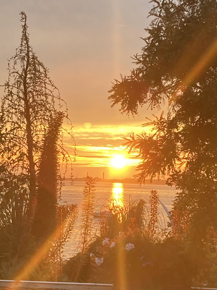Roisin Gauson (@roshgauson) on Twitter photo A gorgeous meal at the Ship Inn last night and a classic sunset. <a href="/hermisland/">Herm Island</a> never disappoints. A gorgeous meal at the Ship Inn last night and a classic sunset. <a href="/hermisland/">Herm Island</a> never disappoints.