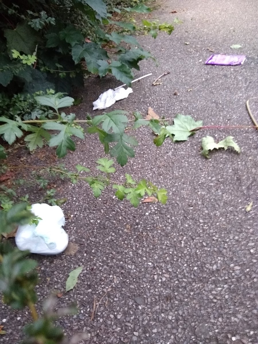 @CultOfCyclists @theroyalparks 2 sets of nappies in the park today.
Not to mention all the other dirt.

@theroyalparks you really need to invest in some sort of better method to keep this from happening. Maybe introduction of fines? Heavy fines!