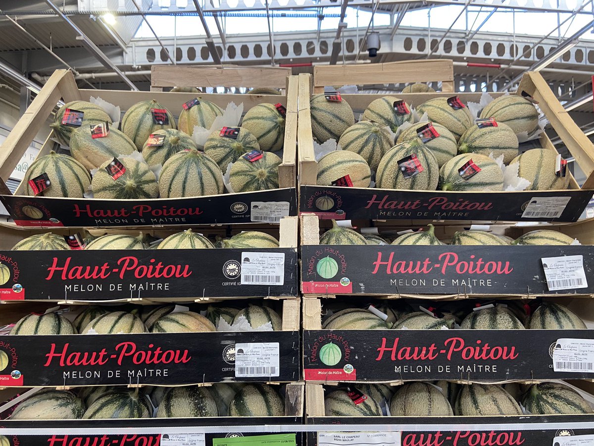 Le soleil ☀️ est enfin au rendez vous ! Prenez du plaisir avec le melon 🍈 de maître du haut Poitou ! Partageons la valeur du bon sur <a href="/marchederungis/">Marché de Rungis</a> avec les <a href="/FruitsLegumesFR/">Les Fruits et Légumes Frais</a>