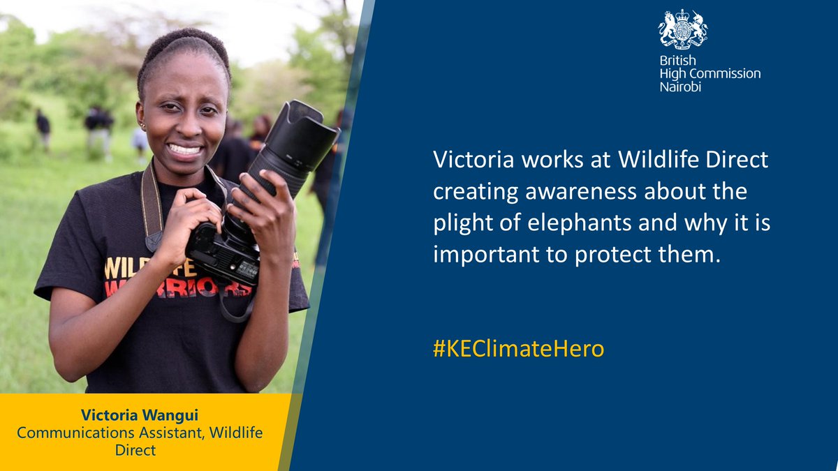Victoria and Tobias are #KEClimateHero‘s who educate people about elephant conservation and teach 🧒 forensics of identifying seized ivory🐘🔬

This is raising awareness on the plight of elephants and is also helping to tackle the #illegalwildlifetrade 

#WorldElephantDay 🐘🐘💚