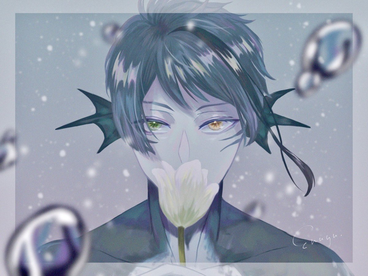 heterochromia 1boy male focus streaked hair solo flower black hair  illustration images