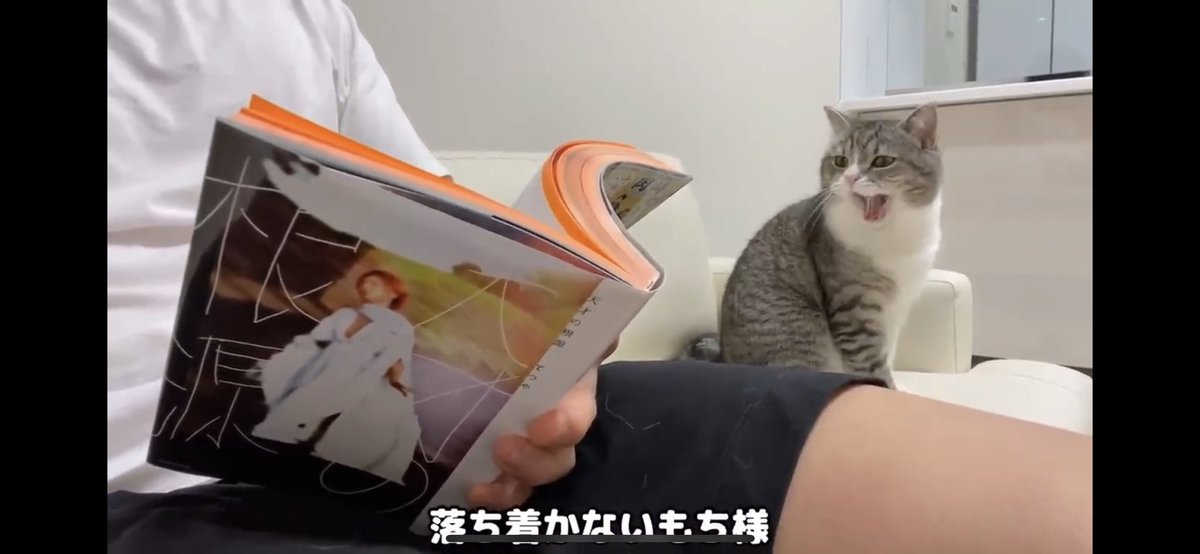 gomashio_924's tweet photo. @TO_TETSUYA @YouTube もちまるの下僕がーッ！！！ https://t.co/szcZb2OqDR