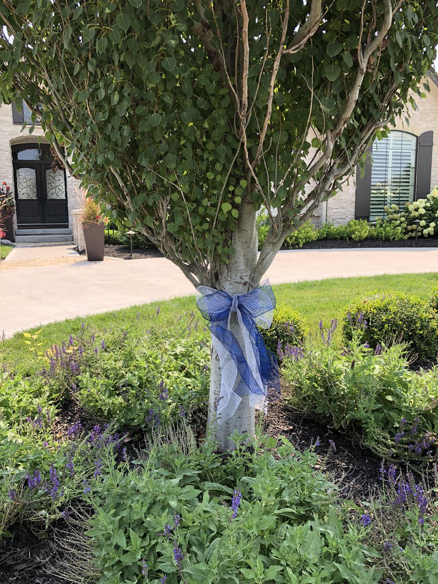 Elizabeth Hermsen (@ehermsenusa) on Twitter photo As a tribute to Briggs, please tie blue & white ribbons on 2 trees in your yard. Why blue & white? To represent the <a href="/Colts/">Indianapolis Colts</a> - Briggs’ favorite team. Why 2 trees? 1) Briggs’ number was 2, & 2) a daily reminder to hug your loved ones a bit longer & remember each day is a blessing. As a tribute to Briggs, please tie blue & white ribbons on 2 trees in your yard. Why blue & white? To represent the <a href="/Colts/">Indianapolis Colts</a> - Briggs’ favorite team. Why 2 trees? 1) Briggs’ number was 2, & 2) a daily reminder to hug your loved ones a bit longer & remember each day is a blessing.