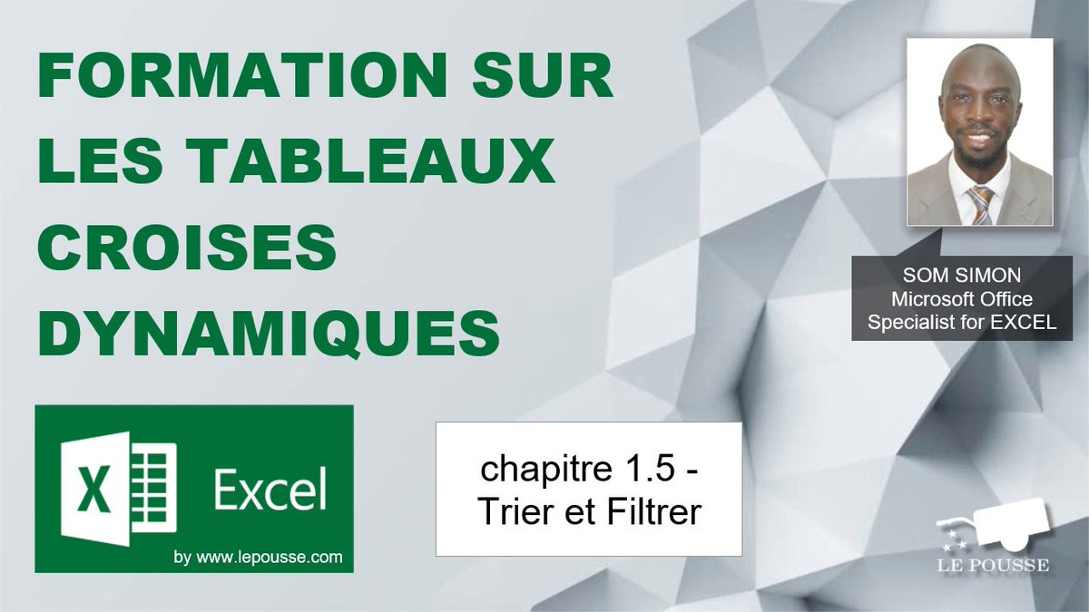 lepousse_com's tweet image. #Formation #Gratuite sur les #TableauxCroisésDynamiques 
👉youtube.com/playlist?list=…

#lepousse #MicrosoftExcel #Excel