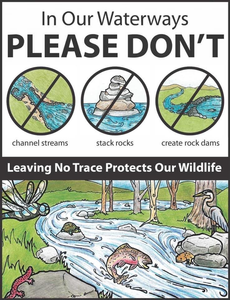 TrishHerps4Life's tweet photo. If you do, just don't. 

Sincerely, 
Someone who loves nature https://t.co/53PFKlk0lv